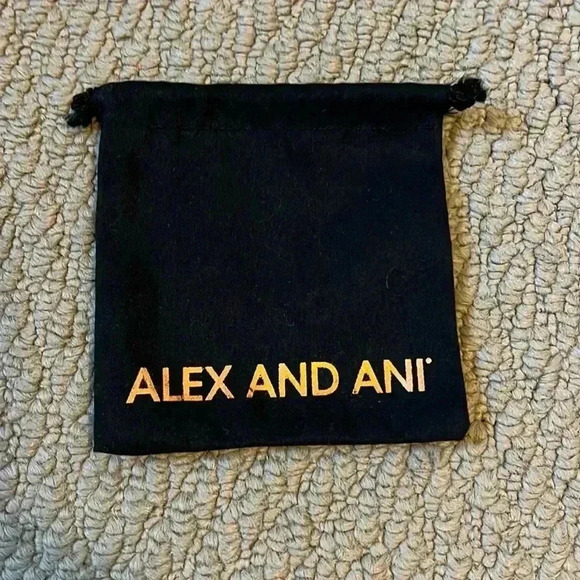 Alex and ani dust bag - Picture 1 of 1